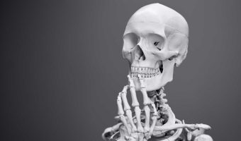 Anatomy & Physiology Background