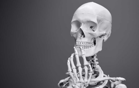 Anatomy & Physiology Background