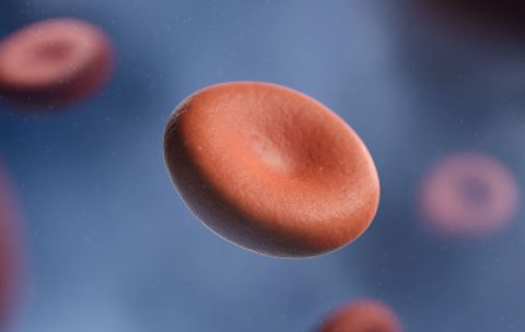 Platelet-Rich-Plasma-Online-Course--Best-You-Training--2023