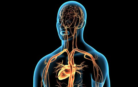 VTCT (ITEC) Level 4 Diploma in Advanced Aesthetic Treatments